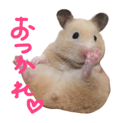 [LINEスタンプ] キンクマのんこ