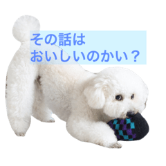 [LINEスタンプ] ぽぽ、ときどきジル