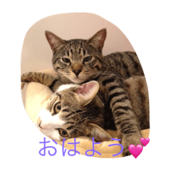 [LINEスタンプ] じんとらんこ