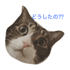 [LINEスタンプ] グリさん