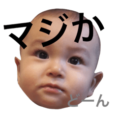 [LINEスタンプ] 朔くんの毎日