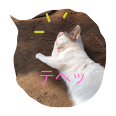 [LINEスタンプ] 栗太郎くん