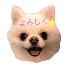 [LINEスタンプ] ファーファー＆パンナ☀︎のほほん日和