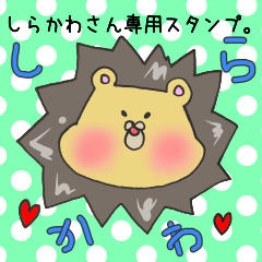 [LINEスタンプ] しらかわさん専用スタンプ