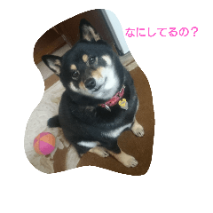 [LINEスタンプ] れんちゃんの日常
