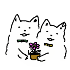 [LINEスタンプ] チワワの兄弟 よんとはち 2