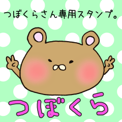 [LINEスタンプ] つぼくらさん専用スタンプ