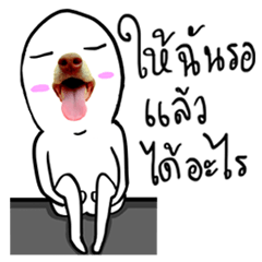 [LINEスタンプ] Doggy Mouth Ver.1