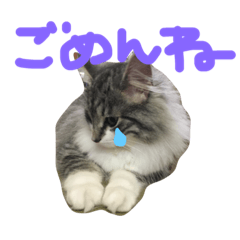 [LINEスタンプ] るなぴ・じじぽよスタンプ
