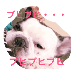 [LINEスタンプ] フレンチのブタさん