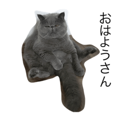 [LINEスタンプ] こんぶ