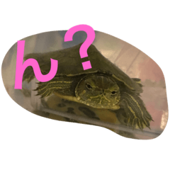 [LINEスタンプ] 小梅ちゃん(*´˘` )
