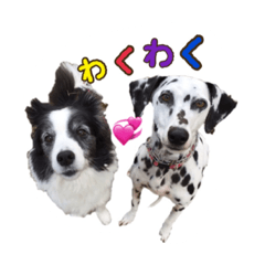[LINEスタンプ] ドキわん