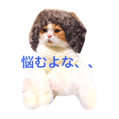 [LINEスタンプ] 大福先生
