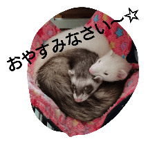 [LINEスタンプ] ゆず＆雪丸(1)