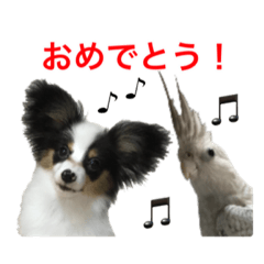 [LINEスタンプ] サラとココ part2
