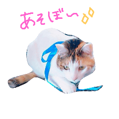 [LINEスタンプ] みるくのスタンプ1