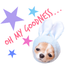 [LINEスタンプ] Chibi＆Noel 1