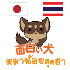 [LINEスタンプ] 面白い犬日本語タイ語