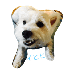 [LINEスタンプ] けんたの毎日