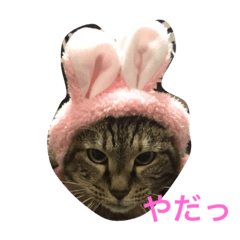 [LINEスタンプ] モモと姫のなにげなトーク