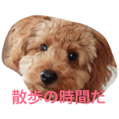 [LINEスタンプ] ボルちゃんず