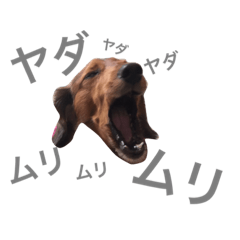 てんのん