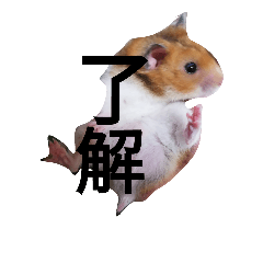 [LINEスタンプ] くろくろまめまめ