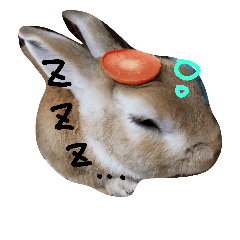 [LINEスタンプ] うさぎすたんぷラムネくん