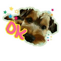 [LINEスタンプ] ヨーキーのロコちゃん！