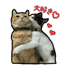 [LINEスタンプ] ハク・マル・みにゃ・ちゃた・のの