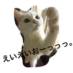 [LINEスタンプ] 潮風くんだよ