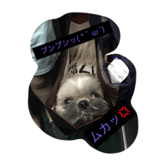 [LINEスタンプ] 夜の世界で生きる犬、ヴーヴの日常③