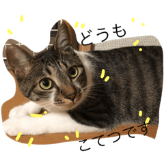 [LINEスタンプ] こてつの日々2