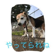[LINEスタンプ] ラン爺