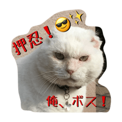 [LINEスタンプ] 押忍、おれボス！
