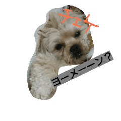 [LINEスタンプ] ほっち時々キー