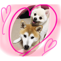 [LINEスタンプ] まめともも