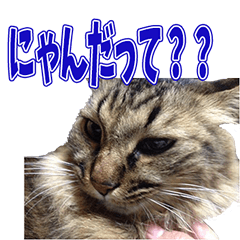 [LINEスタンプ] みんな威張ってます