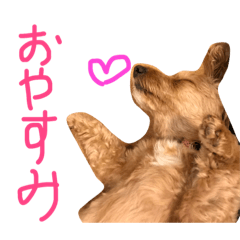 [LINEスタンプ] ダップーのさくらちゃん