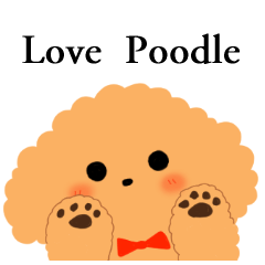 [LINEスタンプ] Love Poodle スタンプ