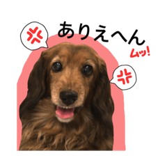 [LINEスタンプ] 関西弁で喋るダックス犬