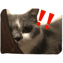 [LINEスタンプ] マルその2