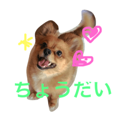 [LINEスタンプ] 可愛い犬 ジロー