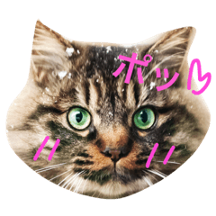 [LINEスタンプ] まろすたんぷ