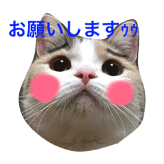 [LINEスタンプ] のんちゃんの1日