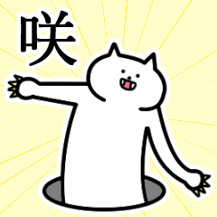 [LINEスタンプ] 咲さんの咲さん専用スタンプ