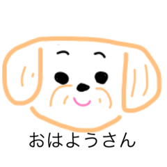 [LINEスタンプ] シーズーの日々てきな感じやつ( ´,_ゝ｀)
