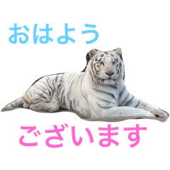 [LINEスタンプ] 挨拶アニマル