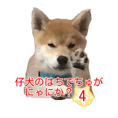 [LINEスタンプ] 柴犬 はち 幼い頃のつぶやき 4